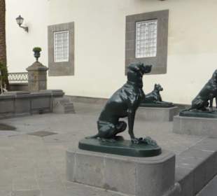 Die Hunde der Plaza Mayor de Santa Ana