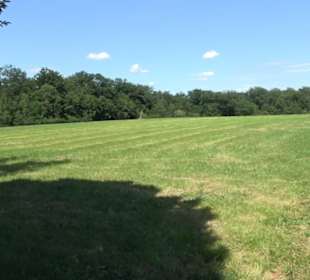 Eduard Lucas Musterobstgarten Mähringen