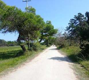 Fuß-/Radweg Naturschutz