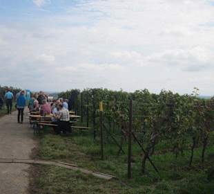 Kulinarische Weinbergswanderung