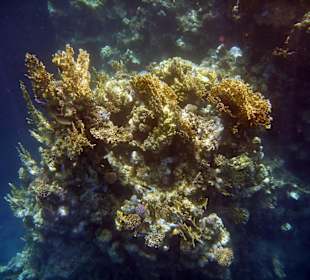 Wir kommen wieder, aber nur noch im Winter