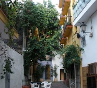 Excursión a marbella, playas y pueblo
