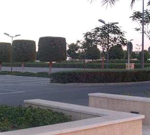 Große Sheikh Zayed Moschee Abu Dhabi