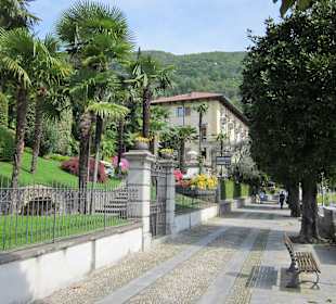 Palmen- und Blütenpracht 