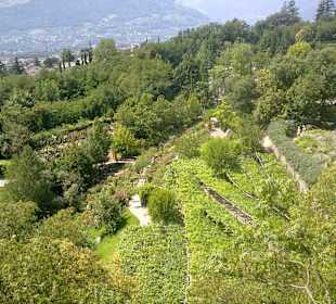 Grün soweit das Auge reicht