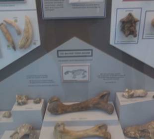 Ghar Dalam Cave & Museum