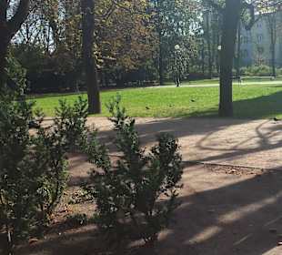 Park Dreszera