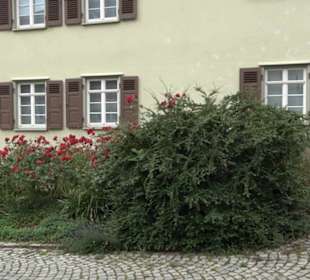 Paul-Jauch-Haus
