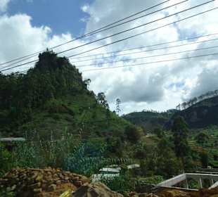 Hochland von Sri Lanka