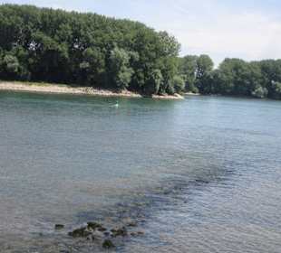 Am Rhein in GermersheimAm Rhein in Germersheim Nie