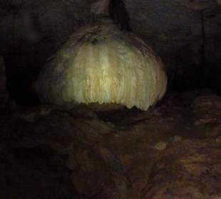 Höhlensystem der Cenote