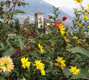 Haidenhof im Herbst