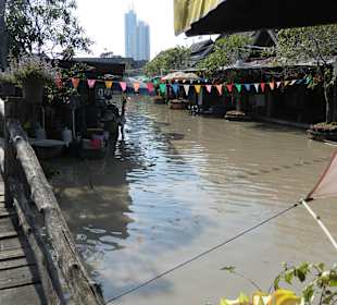 Sonnenblume und Hochhaus