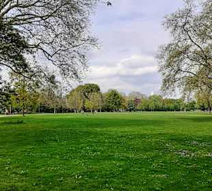 Carola Williams Park