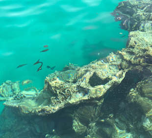 Three Corners Fayruz