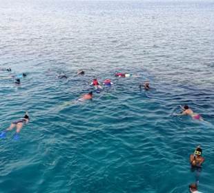 Schnorchelausflüge Marsa Alam Mit Morgenland 