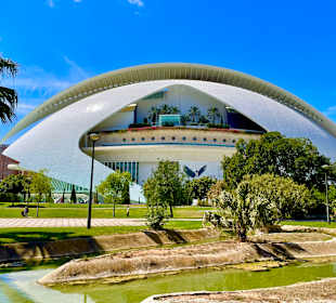 Palau de les Arts Reina Sofia Opera House