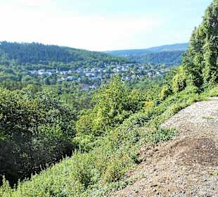 Blick auf die Weinberge und Mosel