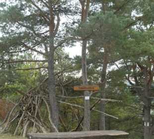 Extratour Strahlungen: unterwegs bei der Wanderung
