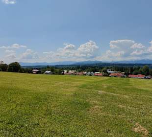 Blick auf die Alpen