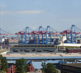 Hamburg - Auge in Auge mit den Giganten