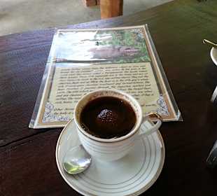 Luwak-Cafe