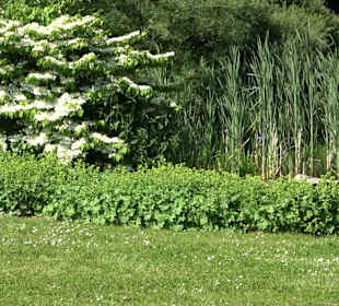 Kloster Maria Reuthin Wildberg