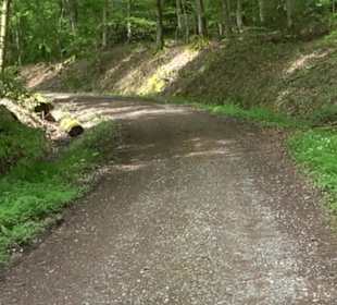 Naturpark Schönbuch