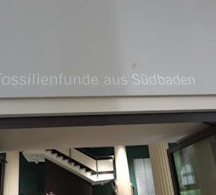 Staatliches Naturkunde Museum