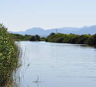 Naturpark S'Albufera - Gran Canal