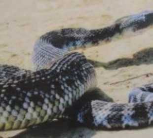 Man sieht Sie! Aber kaum umgekehrt.