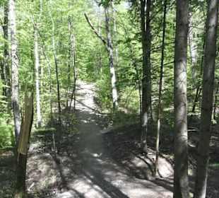 Wanderweg Hochgehwachsen