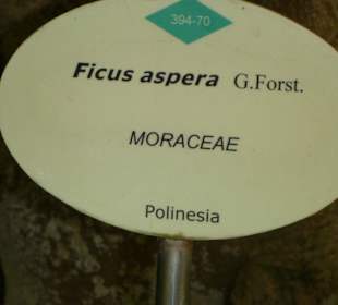Botanischer Garten