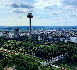 Ausblick