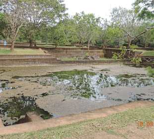 Gartenanlage Sigiriya Felsen