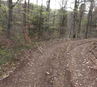 Wanderweg Hochgehswiggert