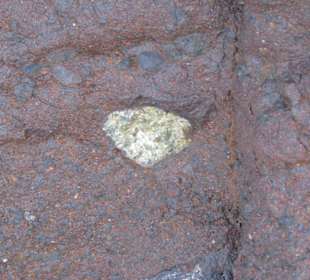 Olivinsteine - eingeschlossen im Fels 