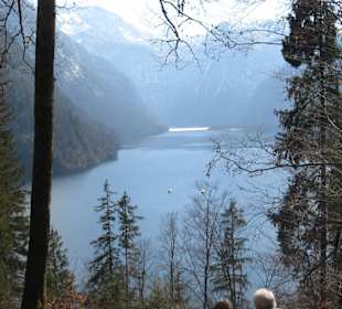 Ausblick vom Mahlerrundweg auf den Königssee