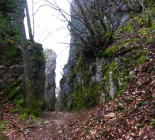 Am Weg entlang sehr schmal