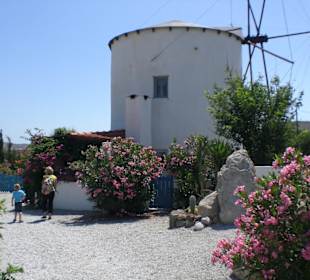 Windmühle, deutsches Café