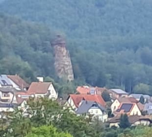 Wandern Erfweiler in Erfweiler