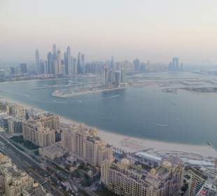 The View of the Palm