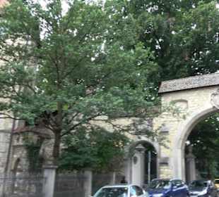 Schlosspark St. Emmeram