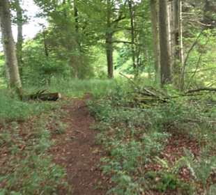 Premiumwanderweg "hochgehackert"