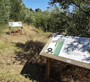 Infoschilder im Jardin Méditerranéen