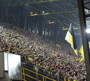 BVB Fans