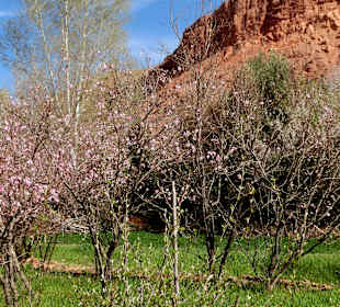 Wandern Dadès Gorges