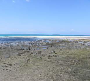 Wanderung am Strand von Prison Island
