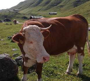 Wandern Berchtesgaden