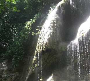 Dschungel - Trekking